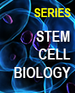 Stem Cell Biology Series