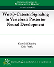 Wnt/Î²-Catenin Signaling in Vertebrate Posterior Neural Development