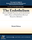 The Endothelium, Part I