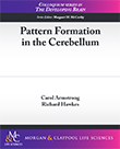 Pattern Formation in the Cerebellum
