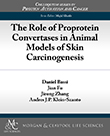 The Role of Proprotein Convertases in Animal Models of Skin Carcinogenesis