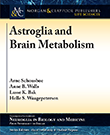Astroglia and Brain Metabolism