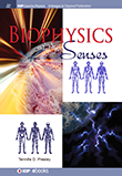 Biophysics of the Senses