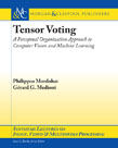 Tensor Voting Tensor Voting