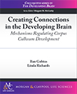 Creating Connections in the Developing Brain Creating Connections in the Developing Brain