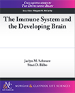 The Immune System and the Developing Brain The Immune System and the Developing Brain