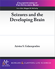 Seizures and the Developing Brain Seizures and the Developing Brain