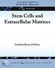 Stem Cells and Extracellular Matrices