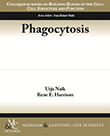 Phagocytosis Phagocytosis