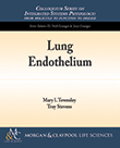 Lung Endothelium