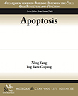 Apoptosis Apoptosis