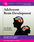 Adolescent Brain Development Adolescent Brain Development