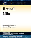 Retinal Glia