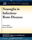 Neuroglia in Infectious Brain Diseases