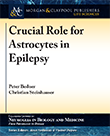 Crucial Role for Astrocytes in Epilepsy