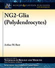 NG2-Glia (Polydendrocytes)