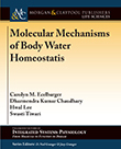 Molecular Mechanisms of Body Water Homeostasis