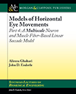Models of Horizontal Eye Movements, Part 4