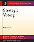 Strategic Voting