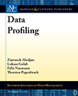 Data Profiling Data Profiling